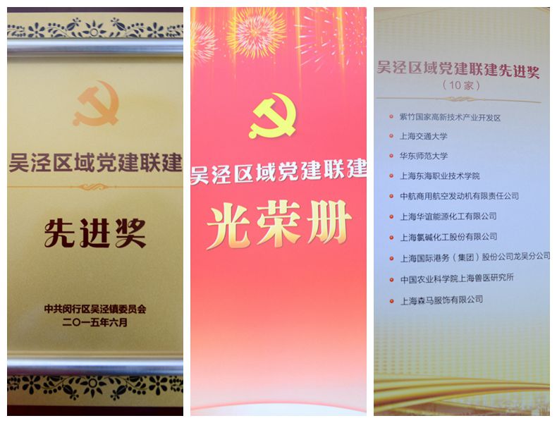 奖牌与光荣册.jpg