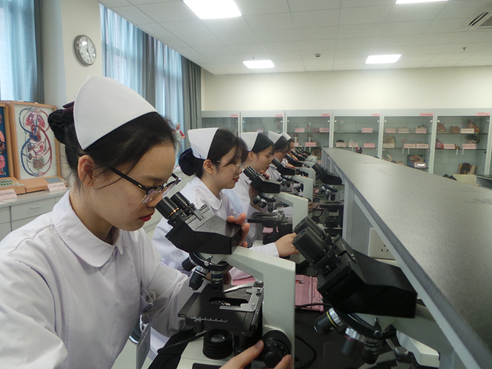 解剖显微镜教学.JPG